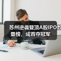 苏州逆袭登顶A股IPO数量榜，成首夺冠军(图3)