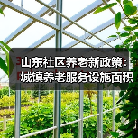 山东社区养老新政策：城镇养老服务设施面积要求达350平方米(图3)