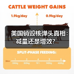 美国销毁核弹头真相：减量还是增效？(图3)