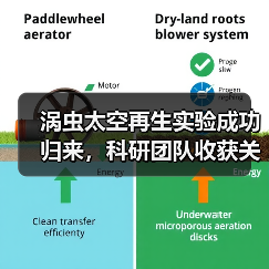 涡虫太空再生实验成功归来，科研团队收获关键数据(图3)