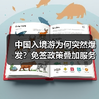 中国入境游为何突然爆发？免签政策叠加服务升级引爆全球热度(图3)