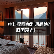 中科星图净利润暴跌？原因曝光！(图2)