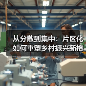 从分散到集中：片区化如何重塑乡村振兴新格局？(图3)