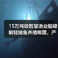 15万吨级智慧渔业船破解鲑鳟鱼养殖难题，产业链升级新突破(图3)
