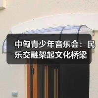 中匈青少年音乐会：民乐交融架起文化桥梁(图4)