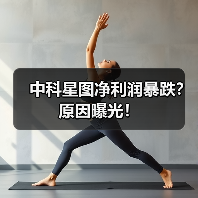 中科星图净利润暴跌？原因曝光！(图4)