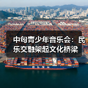 中匈青少年音乐会：民乐交融架起文化桥梁(图2)