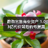 路劲出售商业资产 1.003亿代价背后的亏损真相(图2)