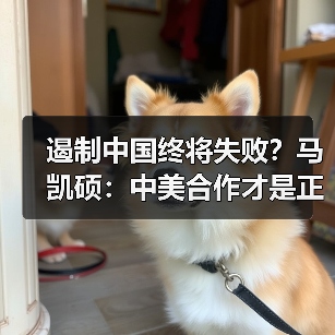遏制中国终将失败？马凯硕：中美合作才是正道(图4)