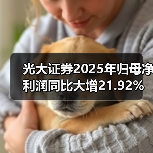光大证券2025年归母净利润同比大增21.92%：业务增长驱动(图3)