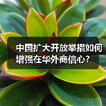 中国扩大开放举措如何增强在华外商信心？(图3)