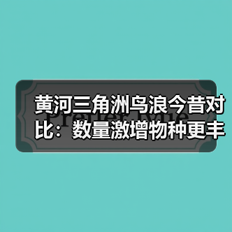 黄河三角洲鸟浪今昔对比：数量激增物种更丰