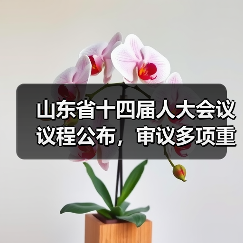 山东省十四届人大会议议程公布，审议多项重要议案(图3)