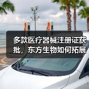 多款医疗器械注册证获批，东方生物如何拓展国际业务？(图3)