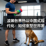 波黑各界热议中国式现代化：如何重塑世界发展路径？(图4)