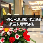 磷石膏治理如何实现高质量发展新路径(图2)