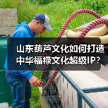 山东葫芦文化如何打造中华福禄文化超级IP