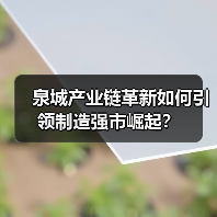 泉城产业链革新如何引领制造强市崛起？(图2)