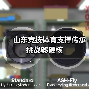 山东竞技体育支撑传承挑战够硬核(图3)