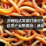 济南链式发展打造空天信息产业新高地 | 造星工厂如何崛起(图1)