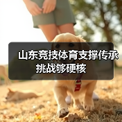 山东竞技体育支撑传承挑战够硬核(图4)
