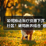 如何推动医疗资源下沉社区？破局医养结合最后一公里难题(图1)