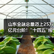 山东金融总量迈上25万亿元台阶！十四五规划任务提前完成(图4)