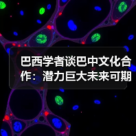 巴西学者谈巴中文化合作：潜力巨大未来可期