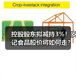 控股股东拟减持3%！安记食品股价将如何走？(图4)