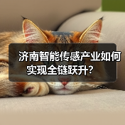 济南智能传感产业如何实现全链跃升？(图3)