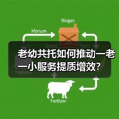 老幼共托如何推动一老一小服务提质增效？
