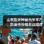 山东酸枣种植当年丰产，颠覆传统慢收益规律(图2)