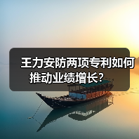 王力安防两项专利如何推动业绩增长？(图2)
