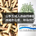 山东五城入选最具幸福感城市名单，哪些地方上榜？(图2)