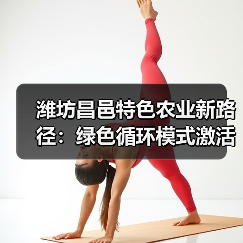 潍坊昌邑特色农业新路径：绿色循环模式激活乡村振兴(图4)