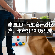 泰国工厂气缸套产线投产,年产能700万只未来或成营收新引擎(图3) 泰国工厂气缸套产线投产,年产能700万只未来或成营收新引擎(图3)