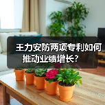 王力安防两项专利如何推动业绩增长？(图1)