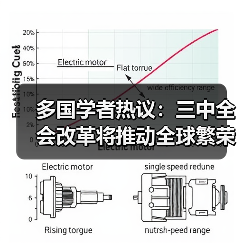 多国学者热议:三中全会改革将推动全球繁荣(图3) 多国学者热议:三中全会改革将推动全球繁荣(图3)