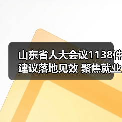 山东省人大会议1138件建议落地见效 聚