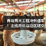 青岛两大工程冲刺通车！主线月底启动区域交