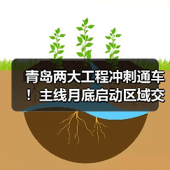 青岛两大工程冲刺通车!主线月底启动区域交通升级(图2) 青岛两大工程冲刺通车!主线月底启动区域交通升级(图2)