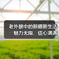 老外眼中的新疆新生活：魅力无限，信心满满(图3)