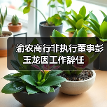 渝农商行非执行董事彭玉龙因工作辞任(图2) 渝农商行非执行董事彭玉龙因工作辞任(图2)