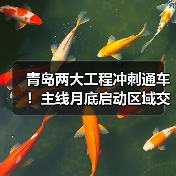 青岛两大工程冲刺通车!主线月底启动区域交通升级(图4) 青岛两大工程冲刺通车!主线月底启动区域交通升级(图4)