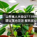 山东省人大会议1138件建议落地见效 聚焦就业教育等民生领域(图4) 山东省人大会议1138件建议落地见效 聚焦就业教育等民生领域(图4)