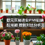 欧元区制造业PMI初值超预期 数据对比分析及经济影响解读(图2)
