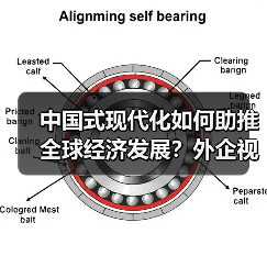 中国式现代化如何助推全球经济发展？外企视