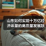 山东如何实现十万亿经济体量的高质量发展跃迁?(图4) 山东如何实现十万亿经济体量的高质量发展跃迁?(图4)
