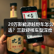 20万新能源越野车怎么选?三款硬核车型深度解析(图2) 20万新能源越野车怎么选?三款硬核车型深度解析(图2)