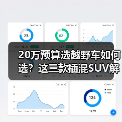 20万预算选越野车如何选？这三款插混SU